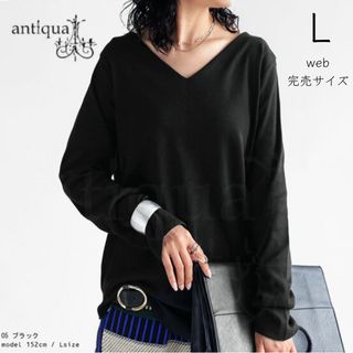 アンティカ(antiqua)の【antiqua】アンティカ コットンVネックロンT L 完売品(Tシャツ(長袖/七分))