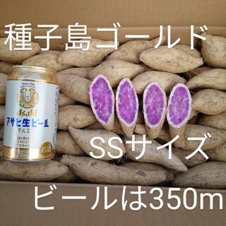 種子島ゴールド(紫芋) SSサイズ 5kg(野菜)