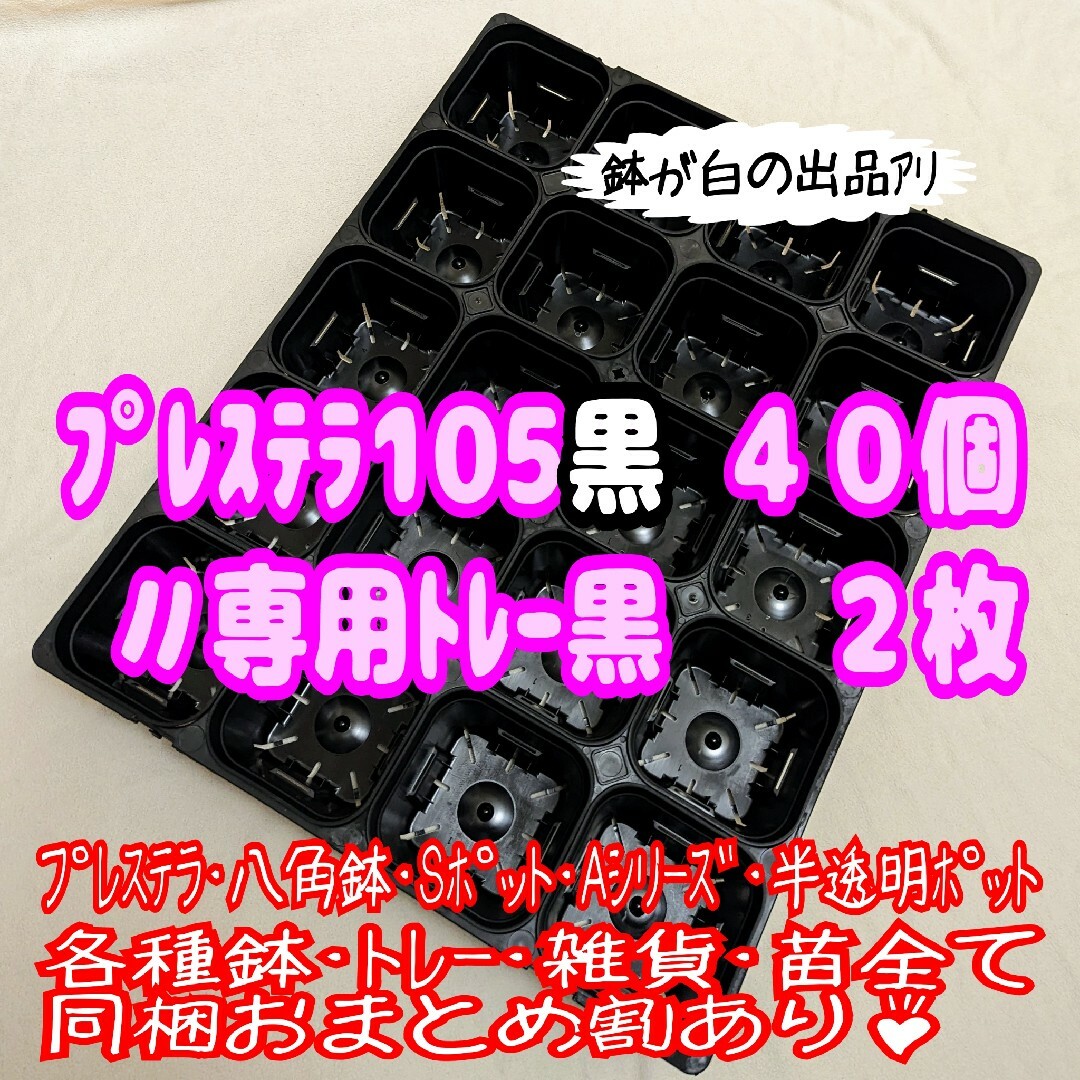 【スリット鉢】プレステラ105黒40個＋専用システムトレー黒2枚 プラ鉢多肉植物 ハンドメイドのフラワー/ガーデン(プランター)の商品写真