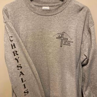 ギルタン(GILDAN)の90s GILDAN ロンT ロッキー山脈 十字架 蛹 古着 ヴィンテージ(Tシャツ/カットソー(七分/長袖))