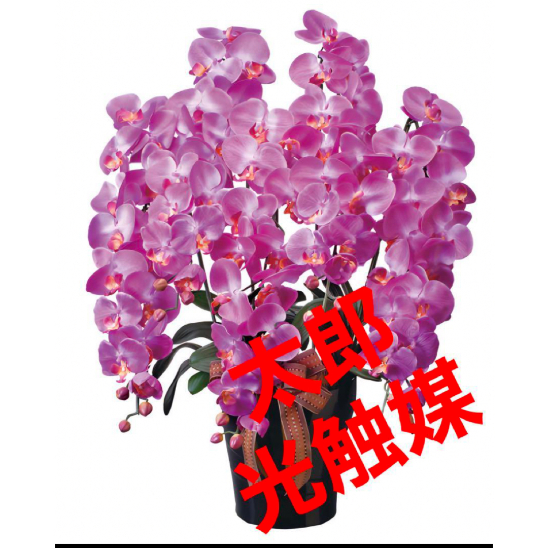 大切な 楽天市場】光触媒 壁掛け フラワー 胡蝶蘭 フェイク 大切な 楽天市場】光触媒 壁掛け フラワー 胡蝶蘭 フェイク