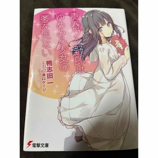 青春ブタ野郎はゆめみる少女の夢を見ない(文学/小説)