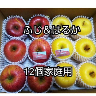 林檎ふじ＆はるかセット12個(フルーツ)