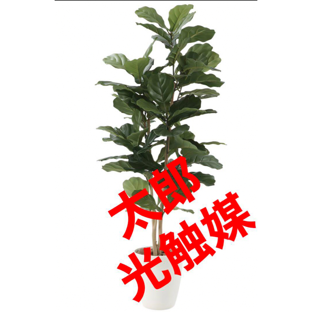 光触媒　人工観葉植物　ウォールグリーン　フェイクグリーン　カシワバゴム1.35 インテリア/住まい/日用品のインテリア小物(置物)の商品写真