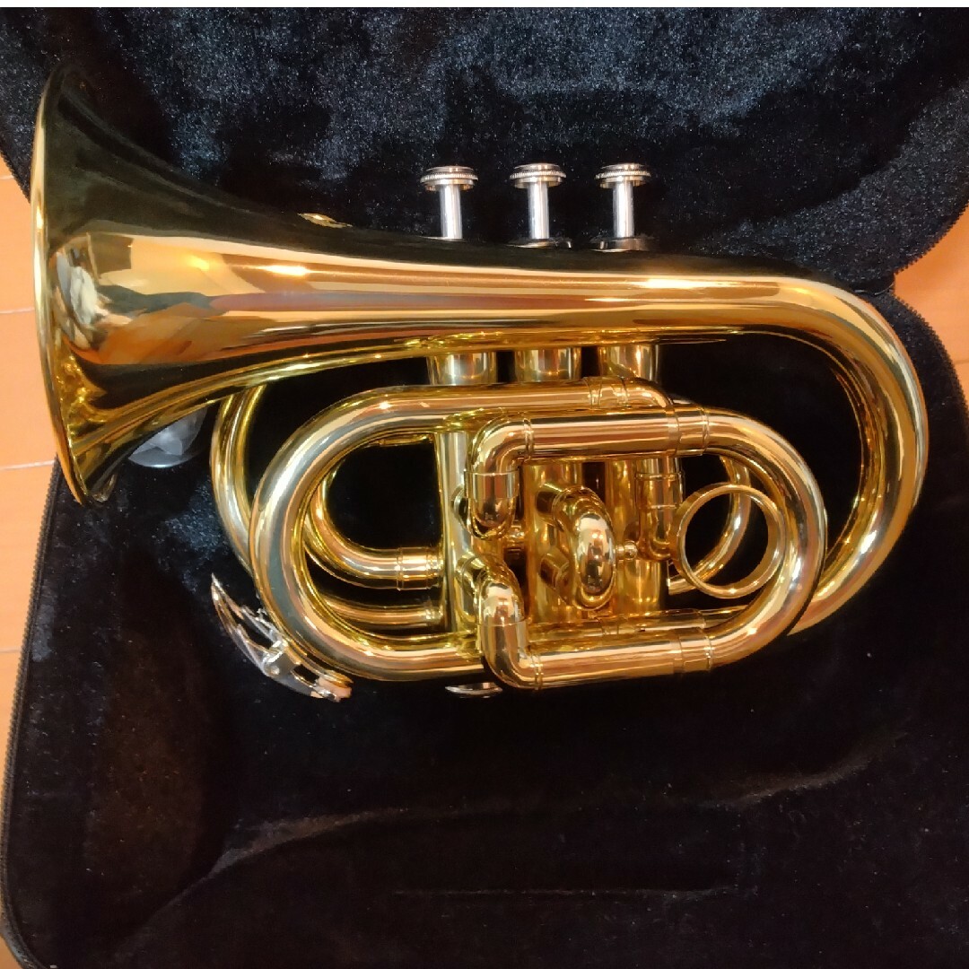 ポケットトランペット 楽器の管楽器(トランペット)の商品写真