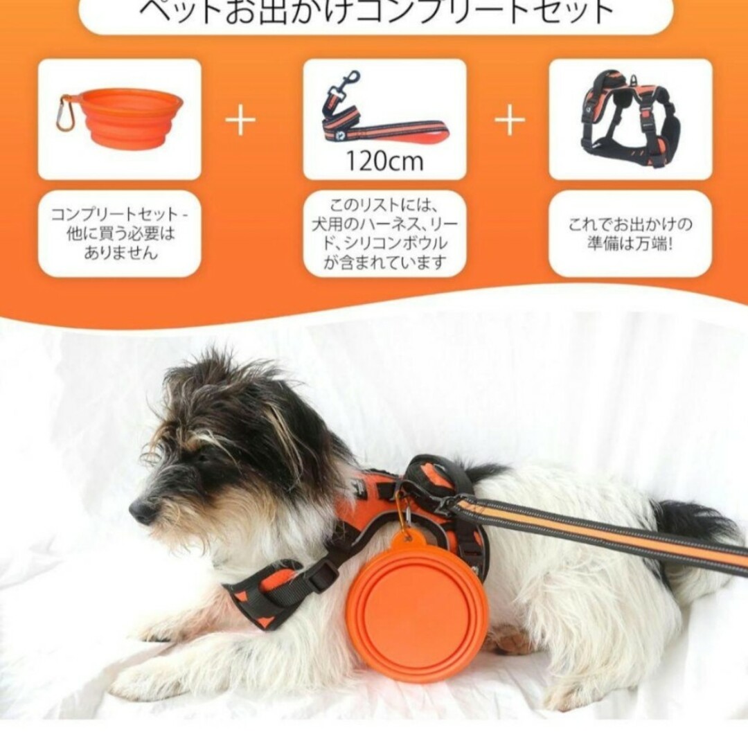 犬用ハーネス リーシュとハーネスセット 　Sサイズ ハンドメイドのペット(リード/首輪)の商品写真