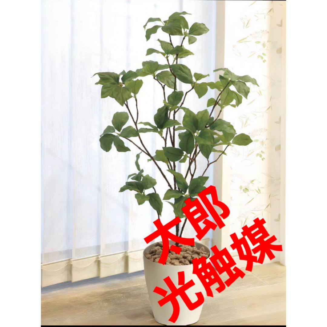 ウクライナ緊迫で 光触媒 人工観葉植物 ウォールグリーン フェイク