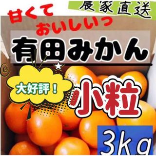 和歌山有田みかん 早生小玉3kg(フルーツ)