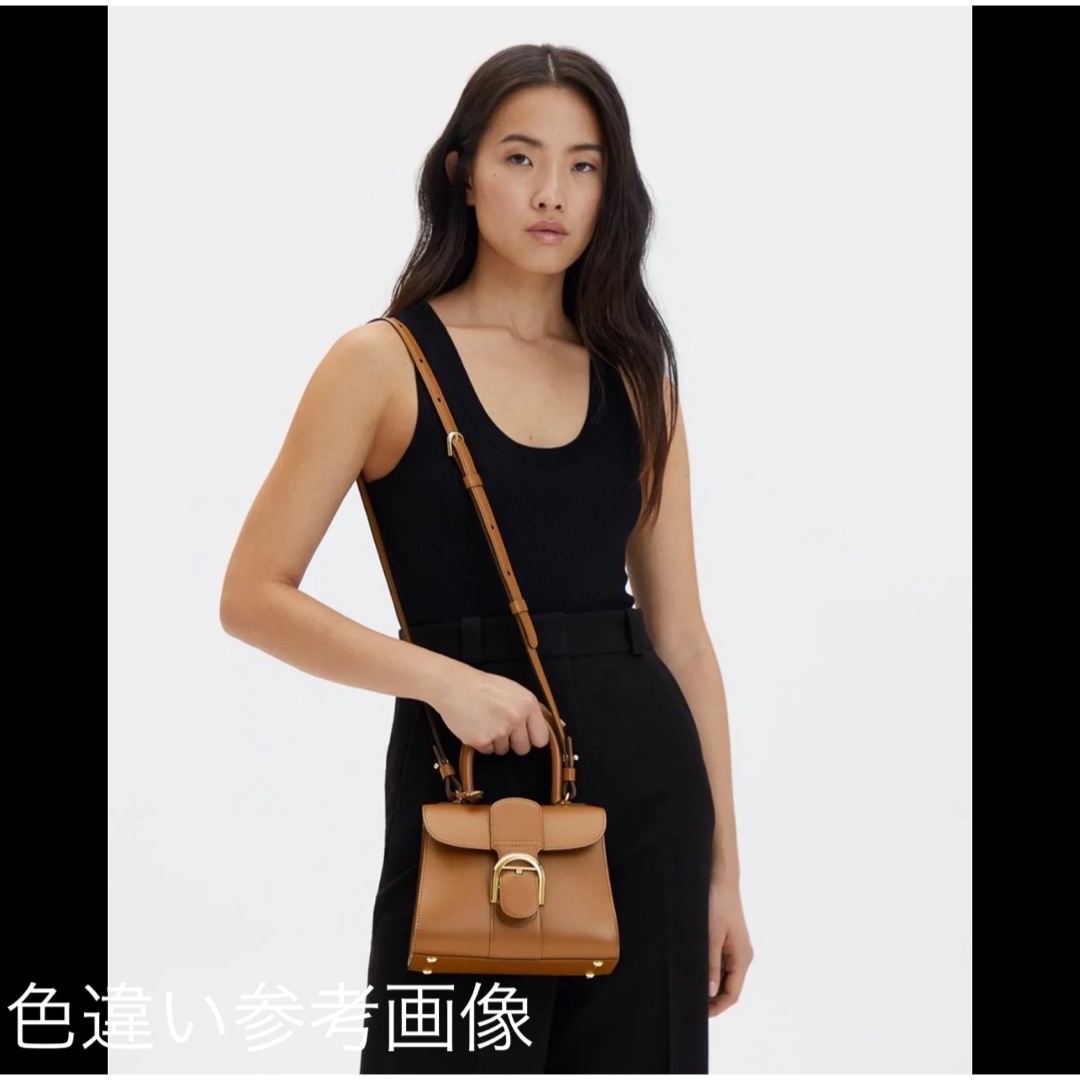 DELVAUX(デルヴォー)のデルヴォー(Delvaux) ブリヨン ミニ 2WAY ハンドバッグ レッド レディースのバッグ(ショルダーバッグ)の商品写真