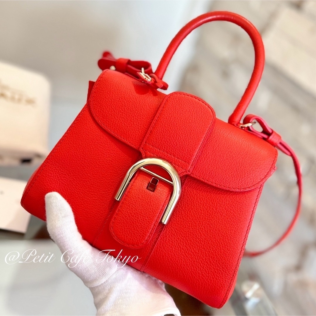 DELVAUX(デルヴォー)のデルヴォー(Delvaux) ブリヨン ミニ 2WAY ハンドバッグ レッド レディースのバッグ(ショルダーバッグ)の商品写真