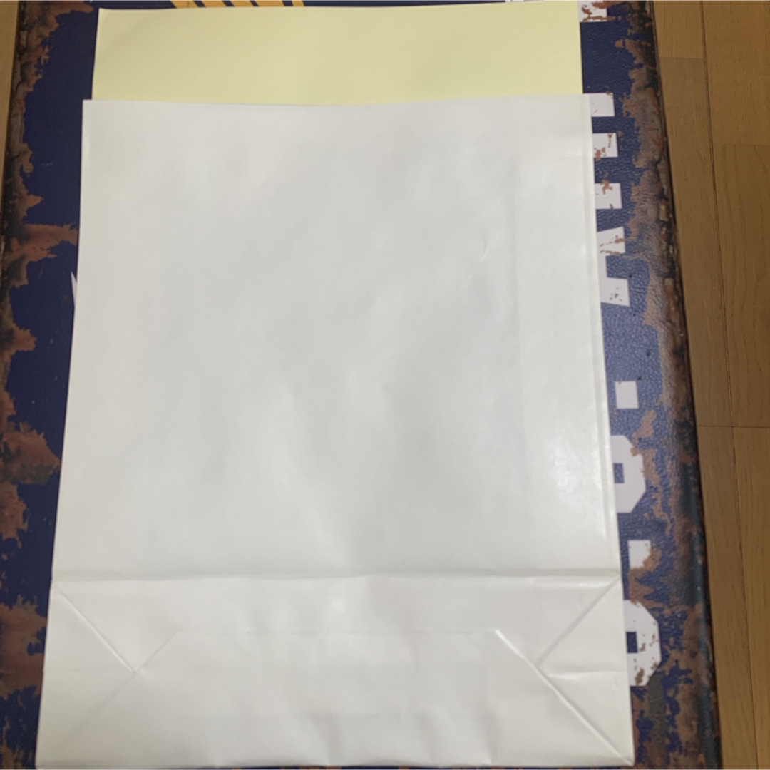 BURBERRY - 【正規品】新品タグ付き Burberry プリントフーディ BURBERRY - 【正規品】新品タグ付き Burberry プリントフーディ
