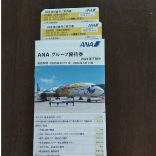 パルサー様専用　ANA　全日空　株主優待券　２枚(その他)