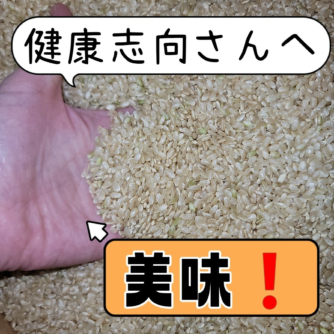 値下げ888→799円！新米！玄米！お試し【令和5年産】三重県 伊賀米コシヒカリ 食品/飲料/酒の食品(米/穀物)の商品写真