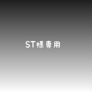 ST様専用(その他)