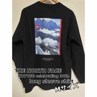 The North Face (ザ・ノースフェイス) メンズロンT  LサイズロンT