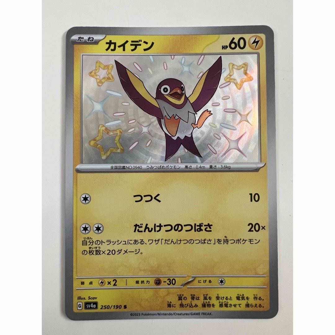 ポケモン - カイデン S 色違いの通販 by mima's shop|ポケモン ポケモン - カイデン S 色違いの通販 by mima's shop|ポケモン