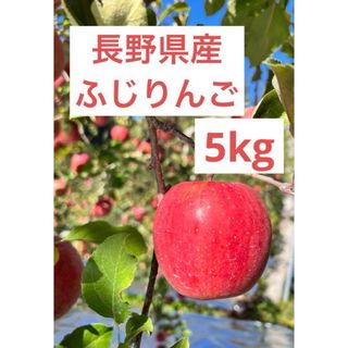 長野県サンふじ　10kg 訳あり　りんご　林檎　送料込み　蜜入り　産地直送　2(フルーツ)