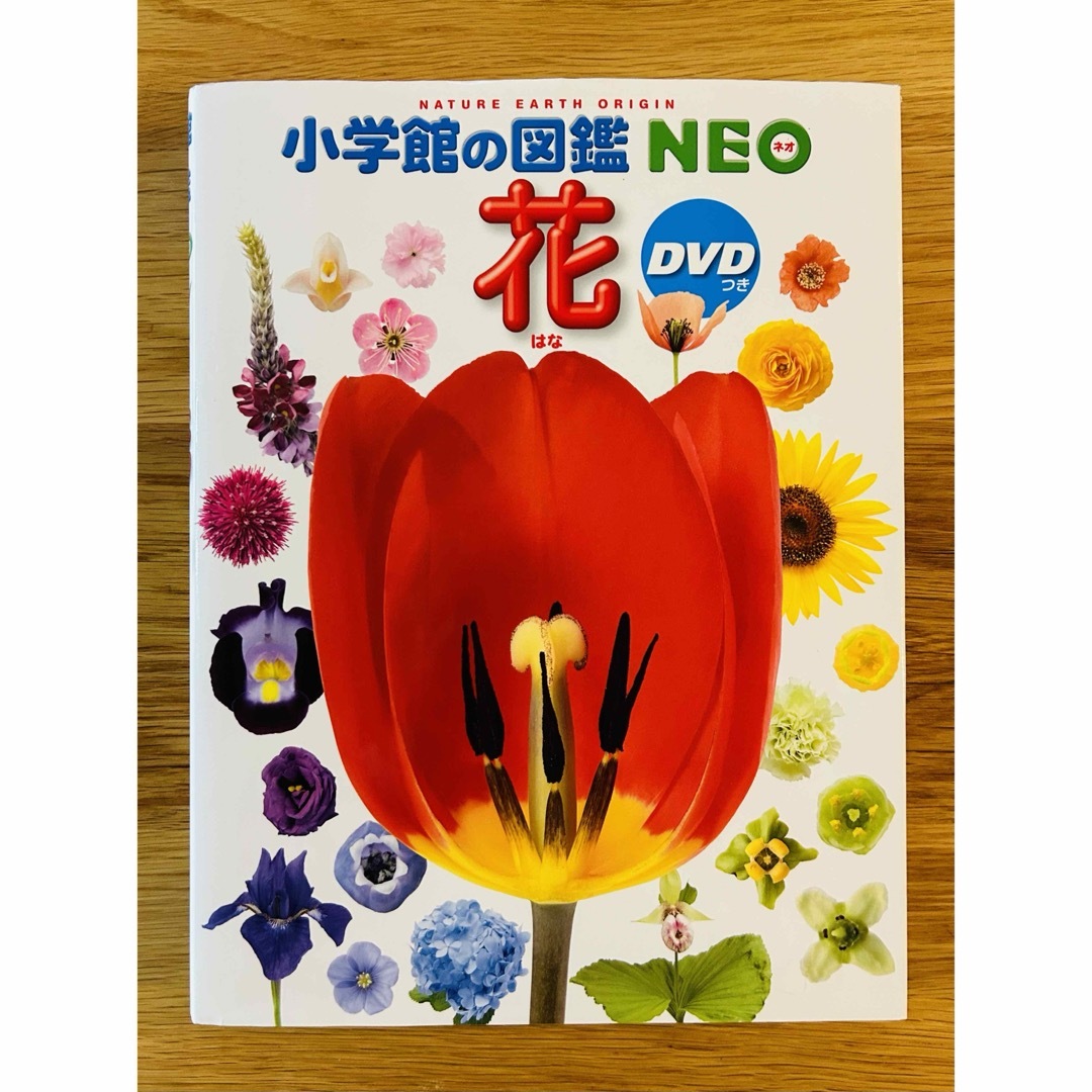 小学館(ショウガクカン)のじゃ様専用⭐︎小学館の図鑑 NEO 花 （DVD付） エンタメ/ホビーの本(絵本/児童書)の商品写真