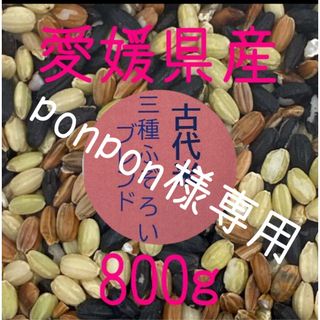 ponpon様専用 古代米3種ふぞろいブレンド　愛媛県産　800ｇ(米/穀物)