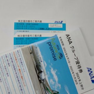 エーエヌエー(ゼンニッポンクウユ)(ANA(全日本空輸))のANA 株主優待券(航空券)