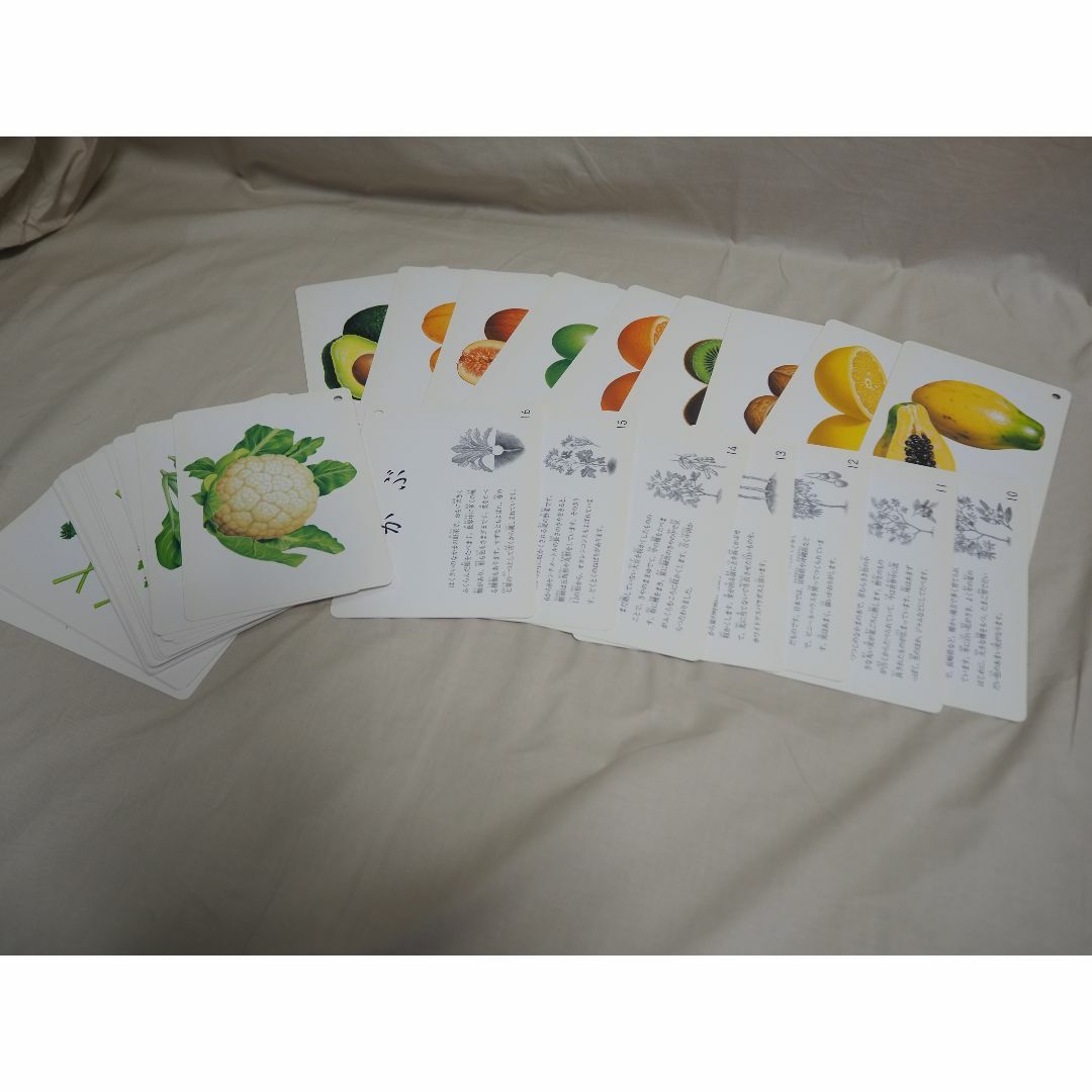 KUMON(クモン)のくもんの生活図鑑カード４種（たべもの・かず・生活道具・くだものやさい） キッズ/ベビー/マタニティのおもちゃ(知育玩具)の商品写真