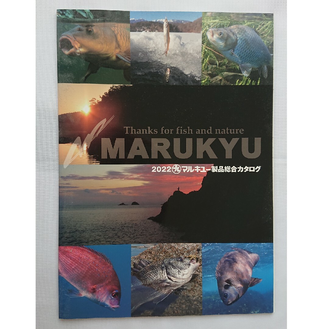 MARUKYU（Fishing）(マルキュー)のマルキュー製品総合カタログ 2022 スポーツ/アウトドアのフィッシング(その他)の商品写真