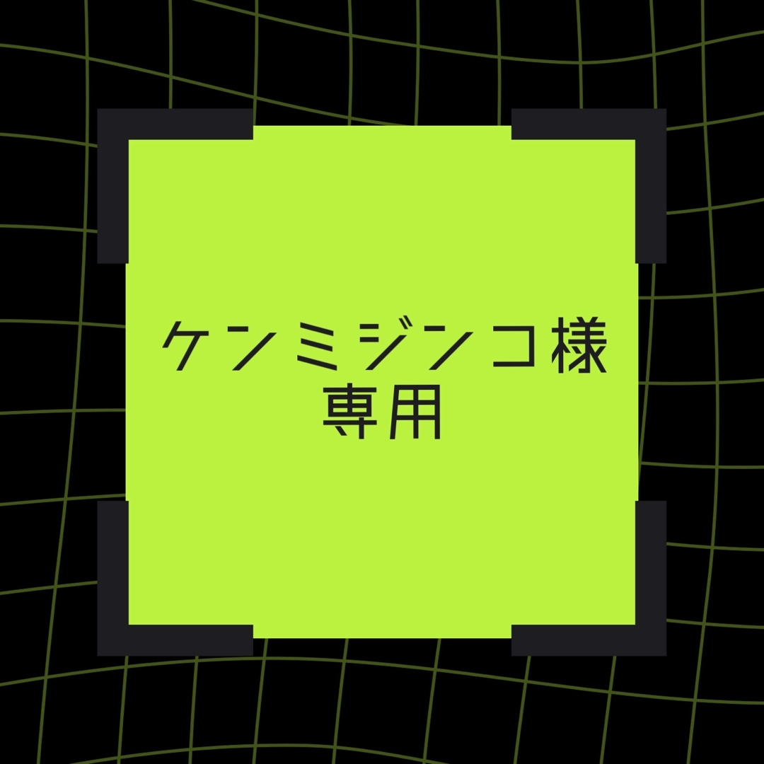 T-ARTS - ケンミジンコ様専用の通販 by ユウガイ's shop|タカラトミー