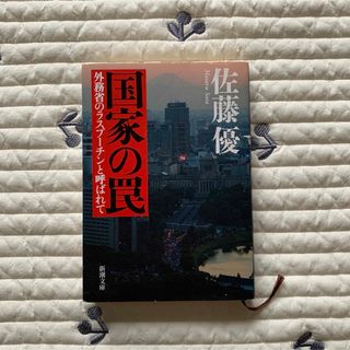 国家の罠 外務省のラスプーチンと呼ばれて(ノンフィクション/教養)