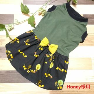 ＜Honey様用＞ 中型犬用ノースリーブワンピース(ペット服/アクセサリー)