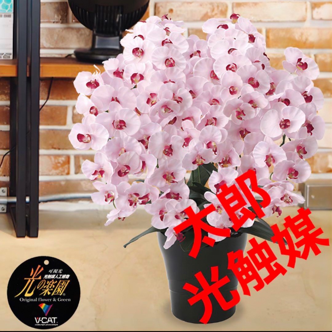 光触媒 人工観葉植物 ウォールグリーン フェイクグリーン リアル 光触媒 人工観葉植物 ウォールグリーン フェイクグリーン リアル