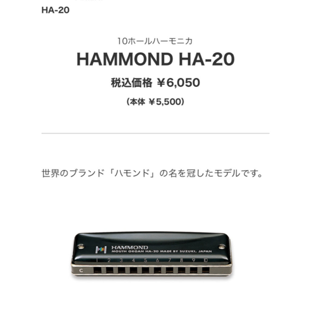 スズキ(スズキ)のスズキ ハモンド 10穴 ハーモニカ C調 （HAMMOND HA-20） 楽器の楽器 その他(ハーモニカ/ブルースハープ)の商品写真