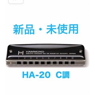 スズキ ハモンド 10穴 ハーモニカ C調 （HAMMOND HA-20）