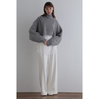 アドーア(ADORE)の【オンライン完売】le phil cropped knit  グレー(ニット/セーター)