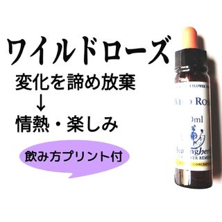 37.ワイルドローズ《10ml》バッチフラワーエッセンスヒーリングハーブス社(その他)