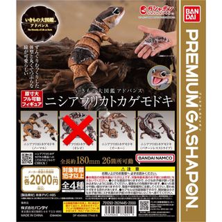 バンダイ(BANDAI)のいきもの大図鑑アドバンス ニシアフリカトカゲモドキ　3種セット　未使用新品(その他)