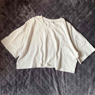 ザラ(ZARA)の体型カバーでビーチを楽しむ、くすみ色リゾートTシャツ(Tシャツ(半袖/袖なし))