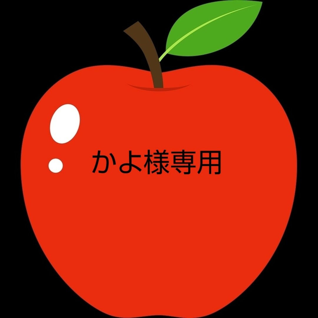 かよ様専用林檎はるか＆ふじ12個2箱同梱 食品/飲料/酒の食品(フルーツ)の商品写真