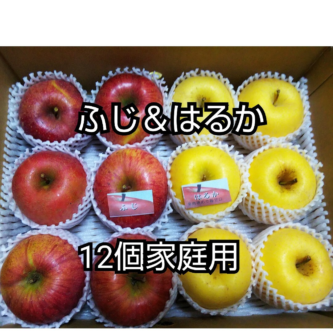 かよ様専用林檎はるか＆ふじ12個2箱同梱 食品/飲料/酒の食品(フルーツ)の商品写真