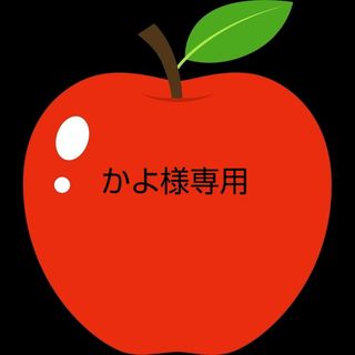 かよ様専用林檎はるか＆ふじ12個2箱同梱(フルーツ)