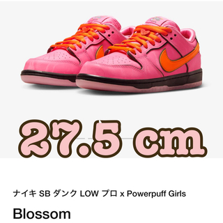 ナイキ(NIKE)のPowerpuff Girls Nike SB Dunk Low Blossom(スニーカー)