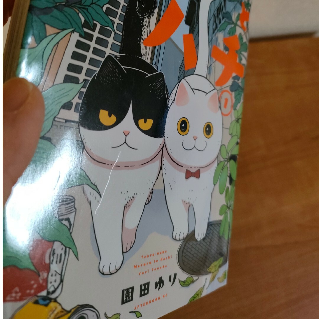 ツレ猫 マルルとハチ 1〜4巻 セット売りの通販 by yunomi's shop|ラクマ