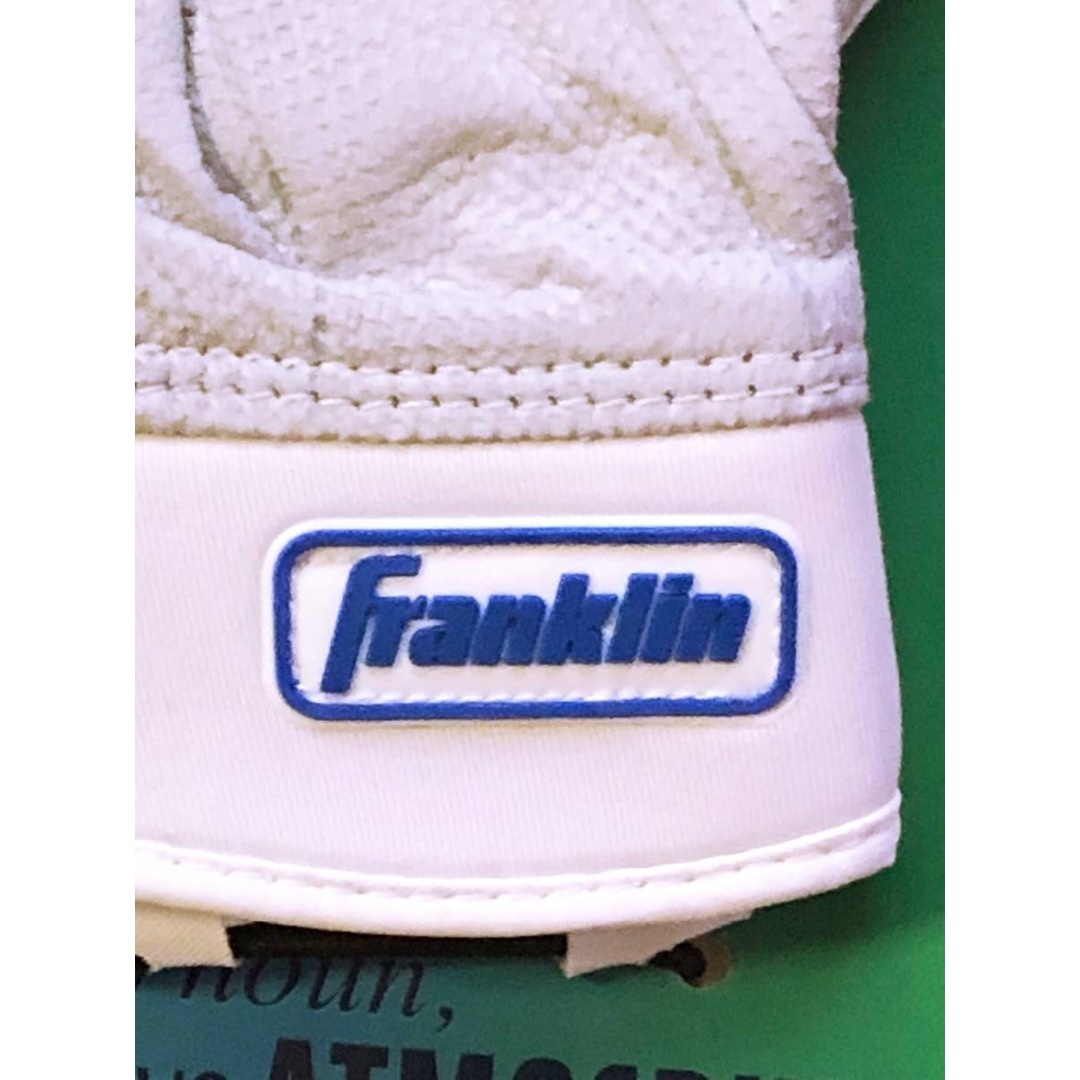 FRANKLYN - 2024年USA限定レインボーロゴ☆フランクリンAURA FRANKLYN - 2024年USA限定レインボーロゴ☆フランクリンAURA