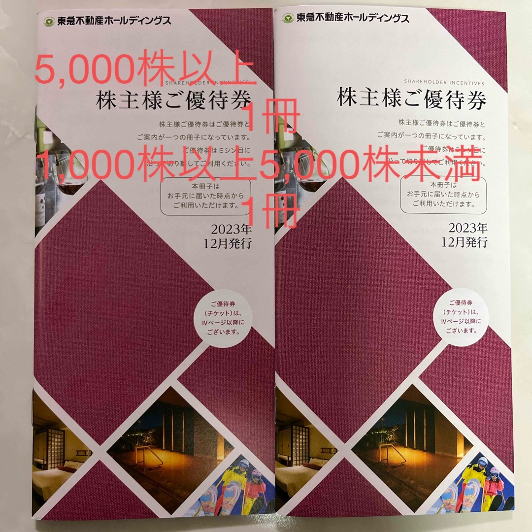 ①東急不動産ホールディングス 株主優待券 スポーツ優待共通券2