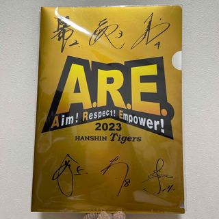 ハンシンタイガース(阪神タイガース)の阪神タイガースクリアファイル　寄せ書きサイン ゴールド(記念品/関連グッズ)