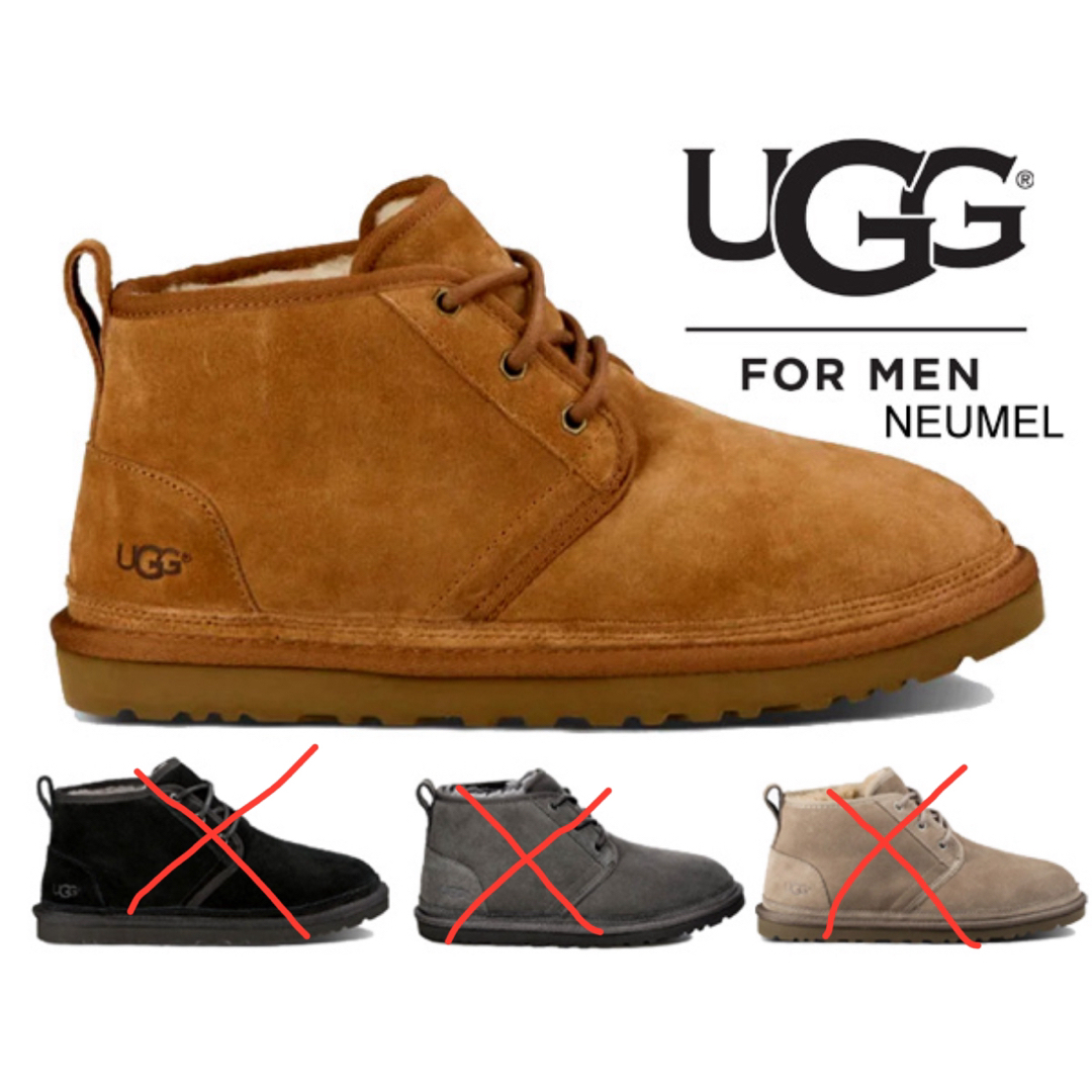 UGG(アグ)の⭐️最終セール⭐️UGG チャッカブーツ メンズの靴/シューズ(ブーツ)の商品写真