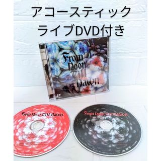 ストレイテナーFromnoonTillDawn ｱｺｰｽﾃｨｯｸDVD付き(ポップス/ロック(邦楽))