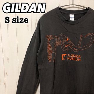 ギルタン(GILDAN)のGILDAN ギルダン ロンT 恐竜 化石 長袖 グレー Sサイズ 海外古着(Tシャツ/カットソー(七分/長袖))