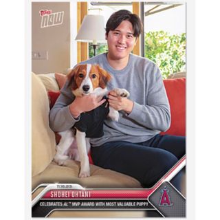 【カードローダー付き】【完売品】大谷翔平選手と愛犬の2ショットMVPカード (シングルカード)