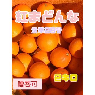 愛華28号（紅まどんな）ハウス栽培【けこ様専用】けこ様専用ページです。(フルーツ)