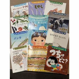 フクインカンショテン(福音館書店)の絵本★かがくのとも　年刊分12冊セット　福音館書店(絵本/児童書)